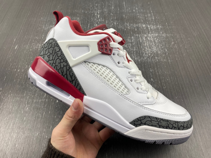 Air Jordan FQ1869-800
