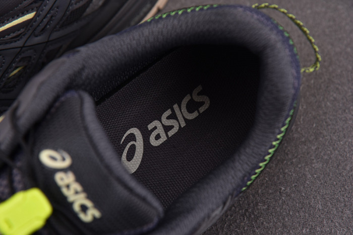 A*SICS FOR-AS22