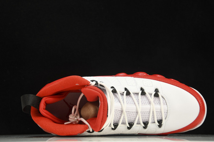 Air Jordan 9 302370-160
